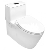 Bồn Cầu 1 Khối American Standard 