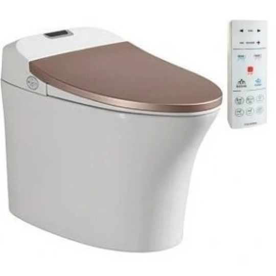 Bồn Cầu Thông Minh Viglacera V93.GW