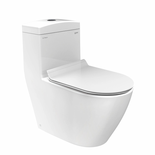 Bồn Cầu Viglacera Platinum P.11.350 Một Khối
