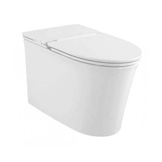 Bồn Cầu American Standard WP-3232