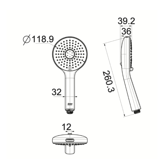 Tay sen tắm 3 chế độ American Standard 1030980001